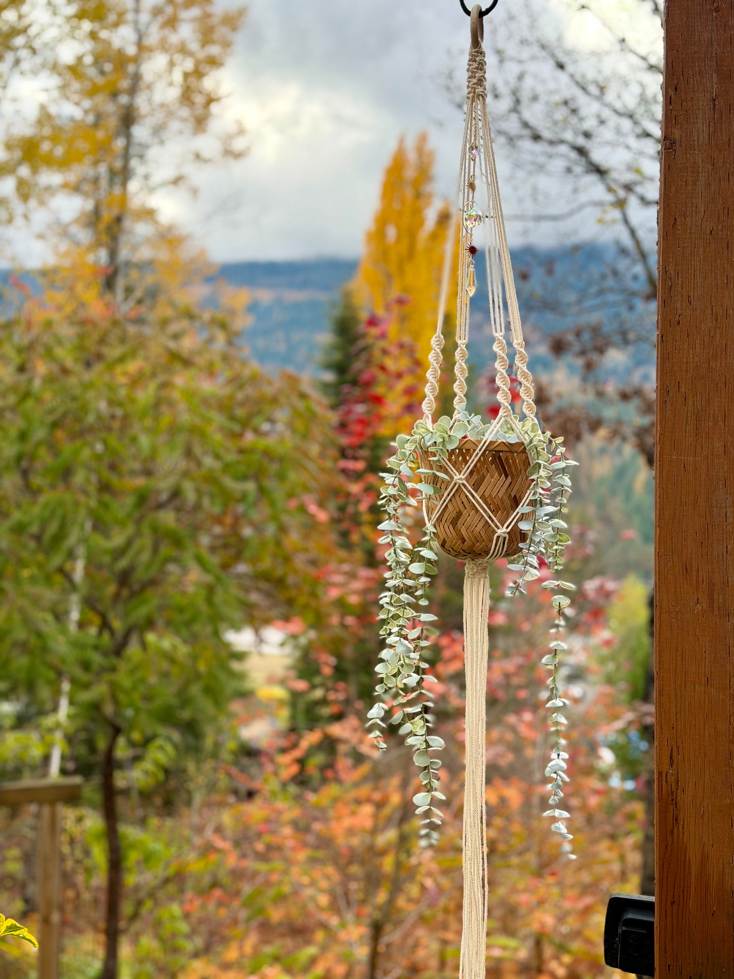 Macrame Plant Hanger with Sun Catcher (made to order)