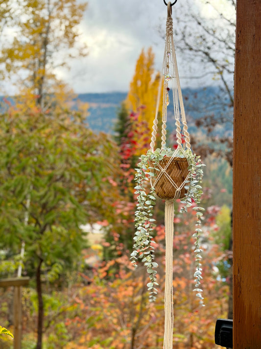 Macrame Plant Hanger with Sun Catcher (made to order)